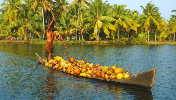 india-south-highlights-kerala.jpg