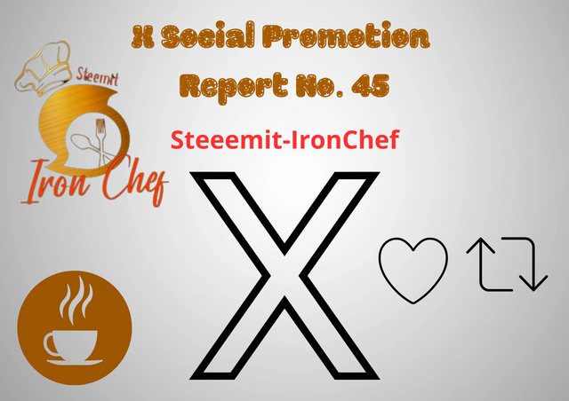 X Social Promotion Report No. 31_20240629_163448_0000.png