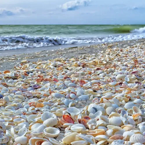 Sanibel-island-florida-500x500.webp