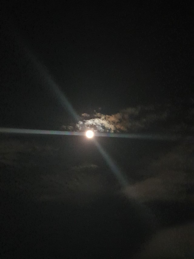 20230929_214728.jpg
