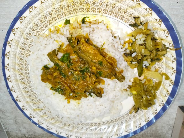 IMG20250503131801.jpg