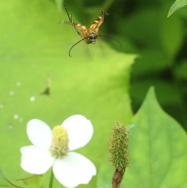 IMG_20250617_165005.jpg