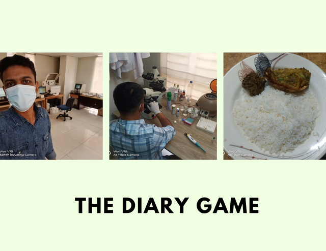 the Diary Game_20250104_015055_0000.png