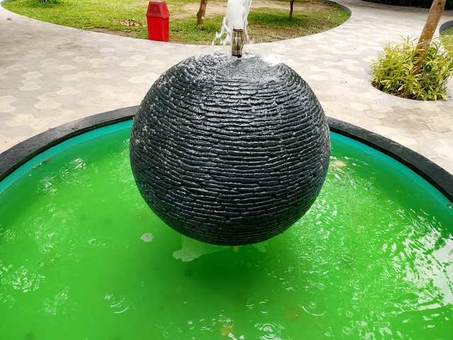 1000035761.jpg