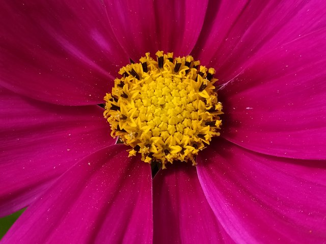 IMG_20250714_115207.jpg