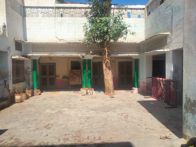 IMG20250910102242.jpg
