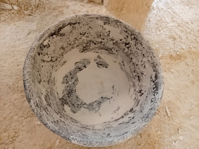 1000732597.jpg