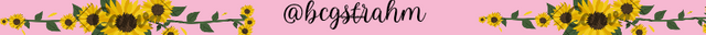 @bcgstrahm_20250525_055140_0000.png