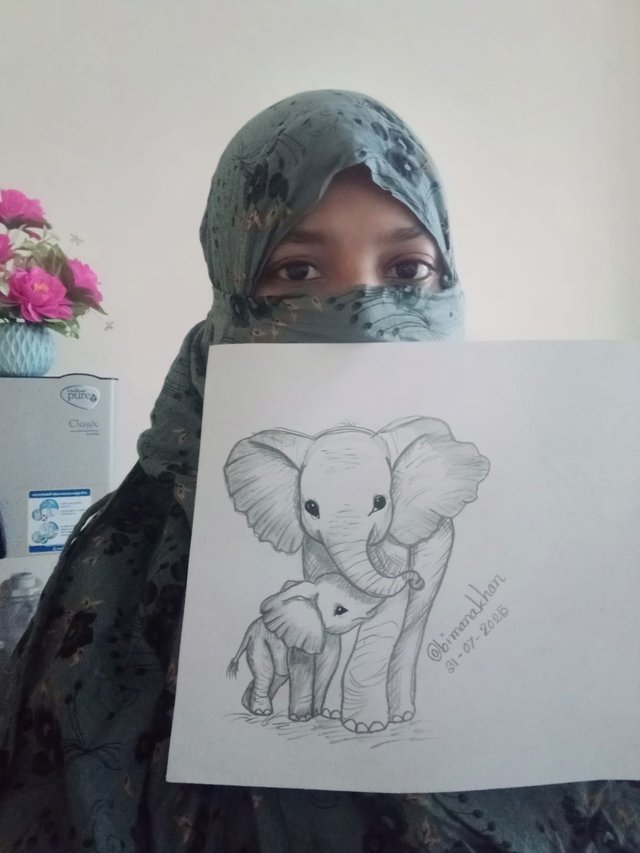 Elephant (1).jpg