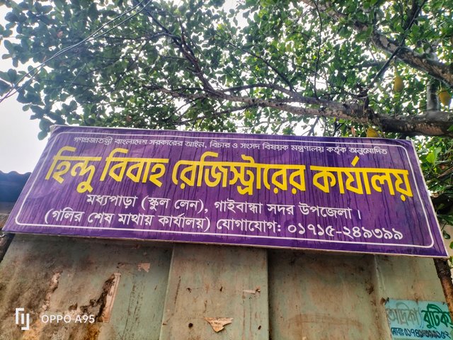 IMG20250417110332.jpg