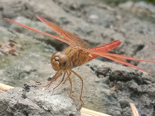 IMG20251002130918.jpg