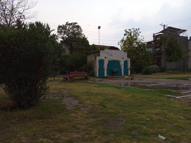 IMG-20250524-WA0024.jpg