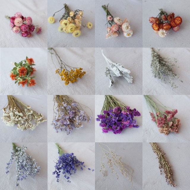 Custom-dried-flowers-options-1.jpg