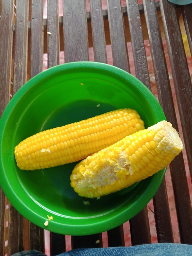 72ca824a-f997-49e5-abe8-e47311effa93.jpeg