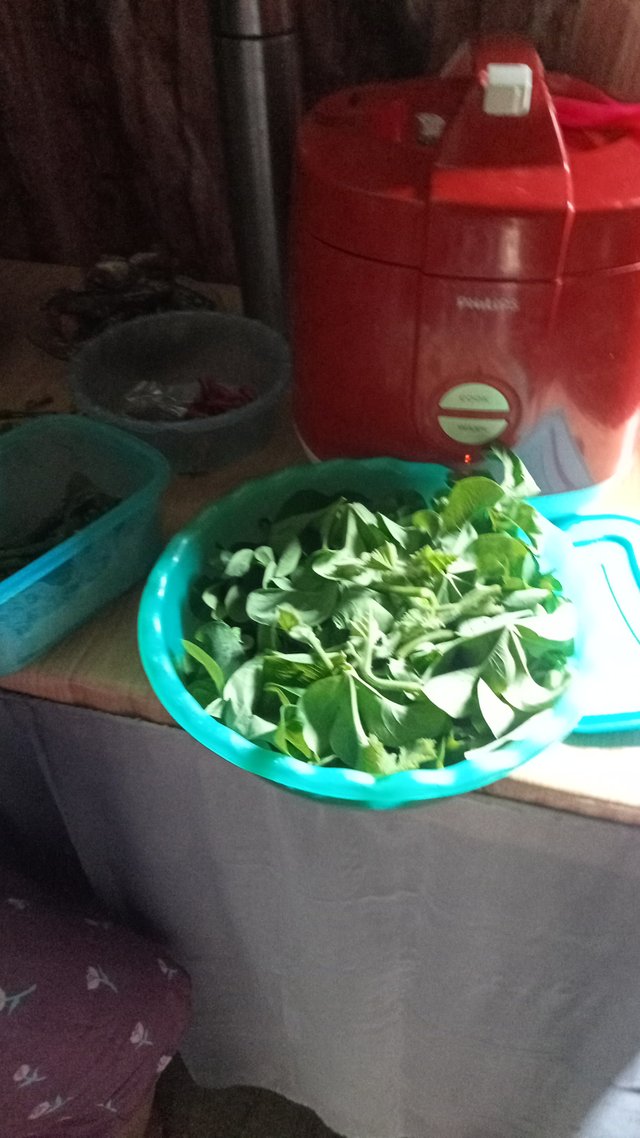 IMG-20250810-WA0003.jpeg