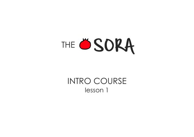 intro course 1.jpg