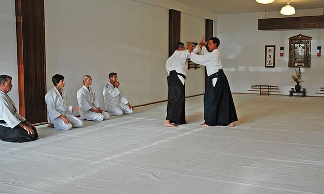 Hacer-aikido-2.jpg