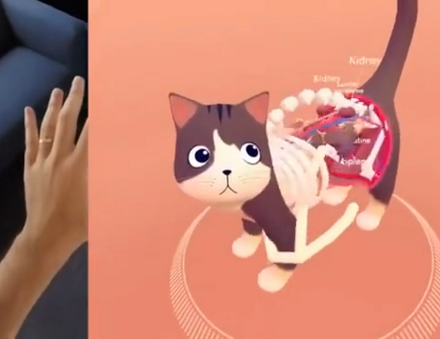 Leap Motion Cat Explorer_Capture.PNG