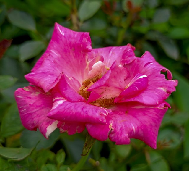 IMG20240630114257.jpg