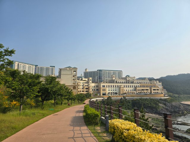 20250529_080031.jpg