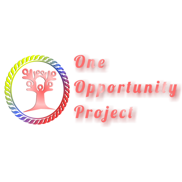 one opportunity project.png