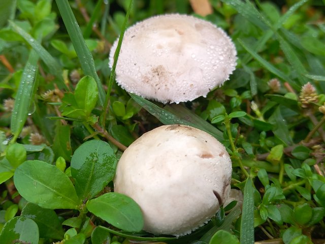 20250414_080454.jpg