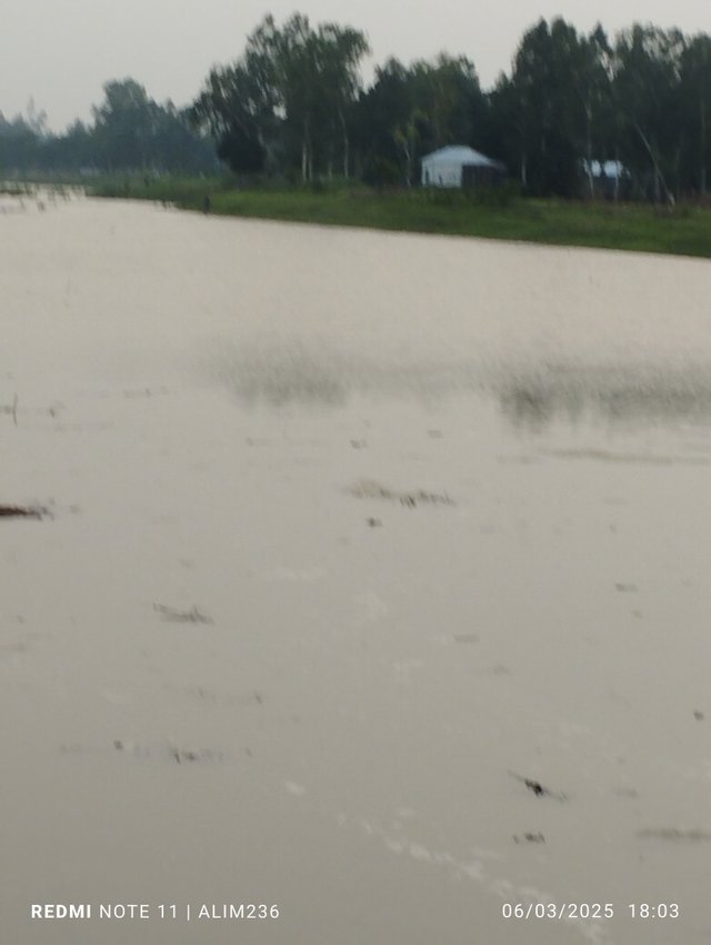 IMG_20250603_180323.jpg