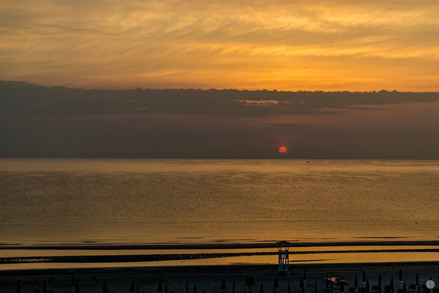 IMG_3838.jpg