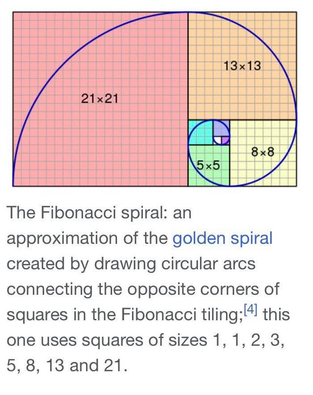 43788196_10218454761500287_5242973617402150912_n.jpg