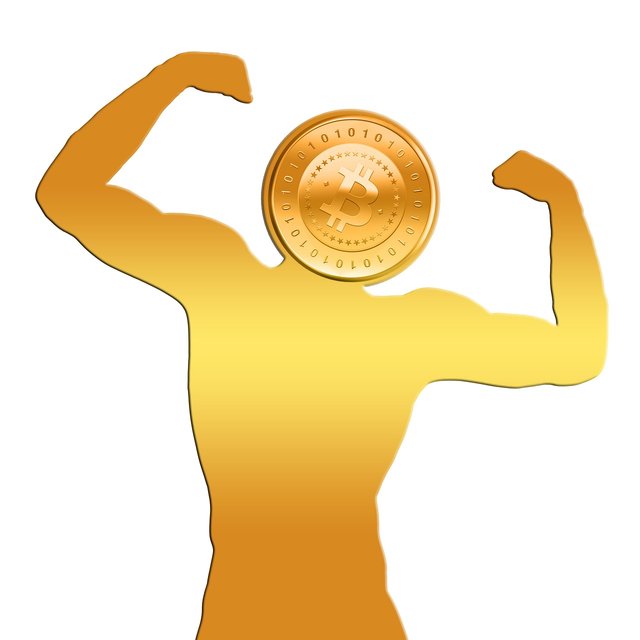 bitcoin-2567607_1280.jpg