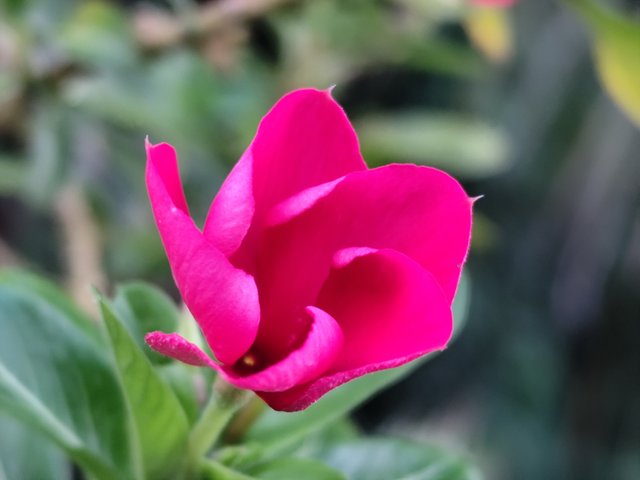 IMG_20250622_181445.jpg