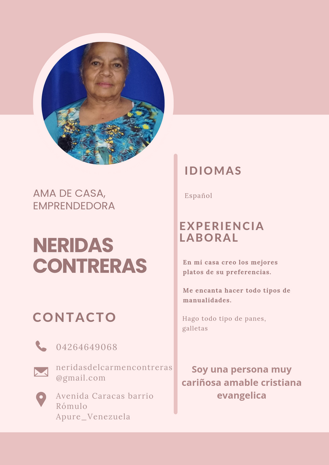 Curriculum Profesional Simple Rosa_20240706_220906_0000.png