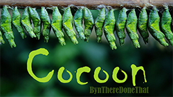 28-cover-cocoon.png