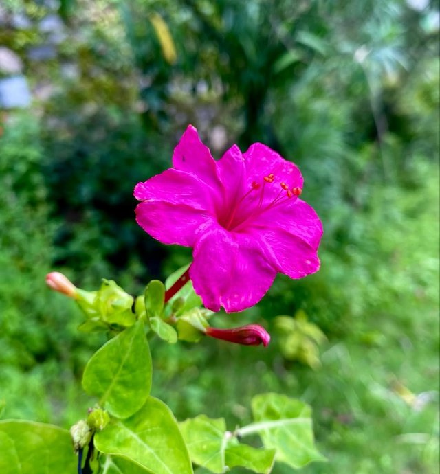 IMG_20250926_194740.jpg