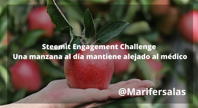 Steemit Engagement Challenge  Una manzana al día mantiene alejado al médico.png