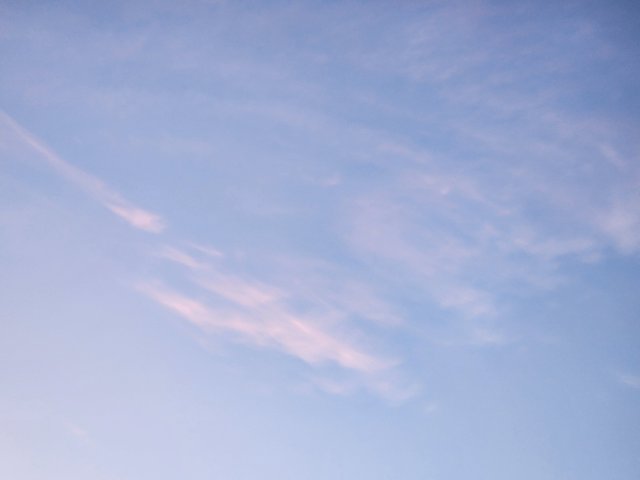 1000035575.jpg