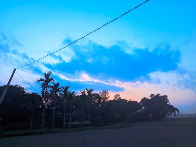 1000022281.jpg