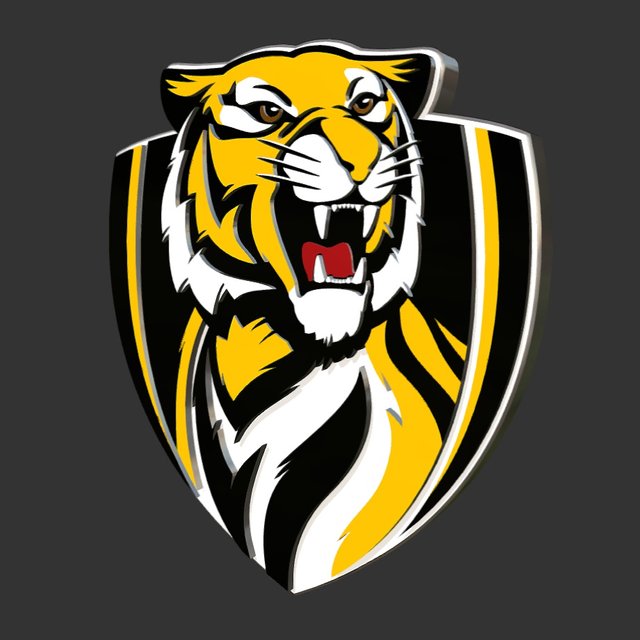 afl_richmond1.jpg