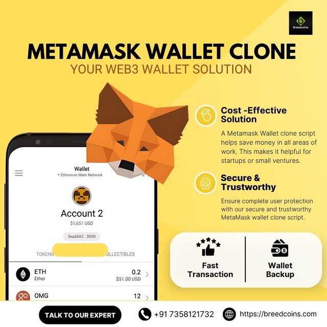 MetaMask Clone Script.jpg