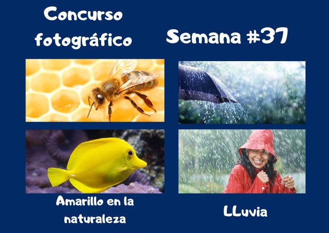 Concurso fotografico #3 (25).jpg