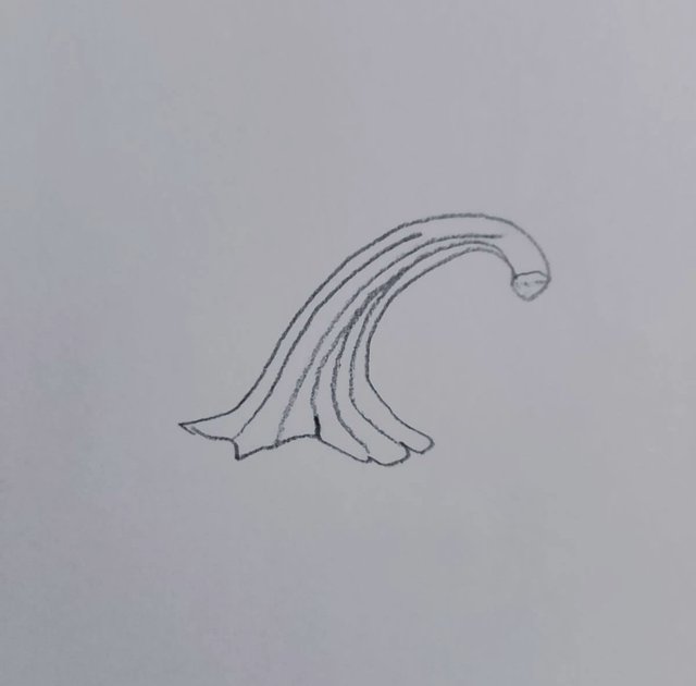 1000074741.jpg