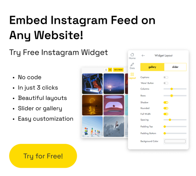 3. Embed Instagram Feed On Any Website.png