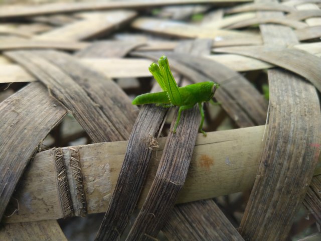 IMG20241209110439.jpg