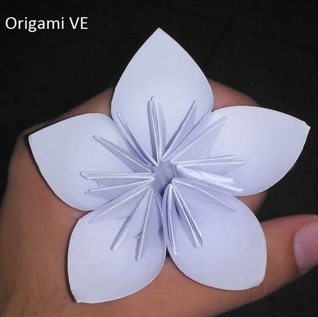 origami3.jpg