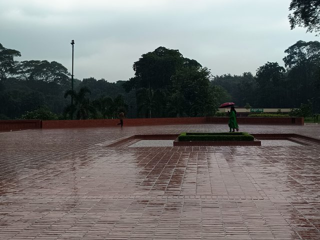 1000011940.jpg