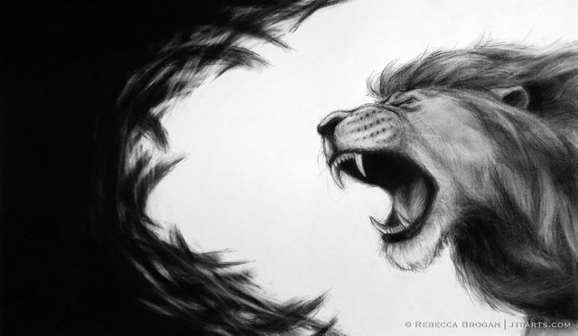The-Spirit-of-The-Lion-of-The-Tribe-of-Judah.jpg