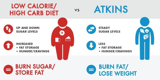 highcarb-vs-lowcarb-update05.jpg