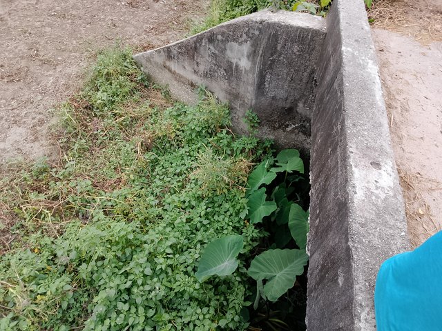 1000041852.jpg