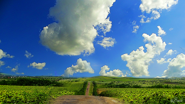 1ertyDSC05034.png
