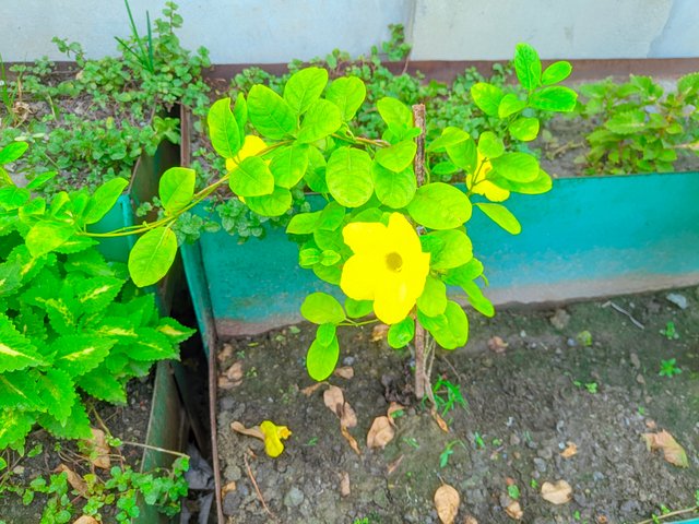 LMC_20250703_101859_🌈Color boost By Expert Mistry.jpg